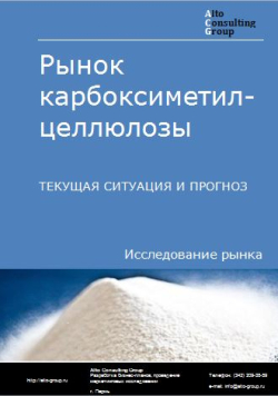 Рынок карбоксиметилцеллюлозы в России. Текущая ситуация и прогноз 2024-2028 гг.