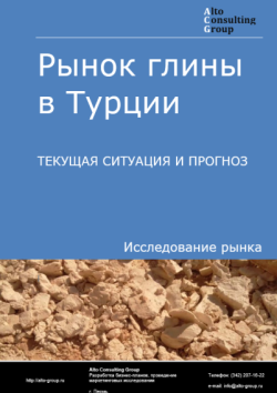 Обложка отчета: Анализ рынка глины в Турции. Текущая ситуация и прогноз 2025-2029 гг.