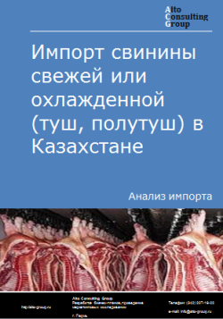 Анализ импорта свинины свежей или охлажденной (туш, полутуш) в Казахстан в 2020-2024 гг.