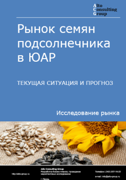 Рынок семян подсолнечника в ЮАР. Текущая ситуация и прогноз 2024-2028 гг.