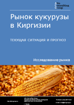 Анализ рынка кукурузы в Киргизии. Текущая ситуация и прогноз 2024-2028 гг.