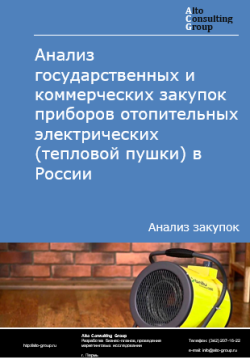 Обложка исследования: Анализ закупок приборов отопительных электрических (тепловой пушки) в России в 2024 г.