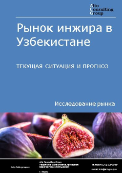 Обложка исследования: Анализ рынка инжира в Узбекистане. Текущая ситуация и прогноз 2024-2028 гг.