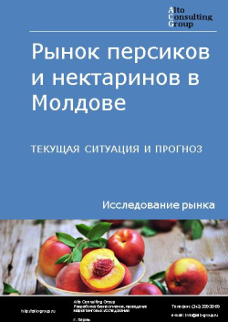 Рынок персиков и нектаринов в Молдове. Текущая ситуация и прогноз 2024-2028 гг.