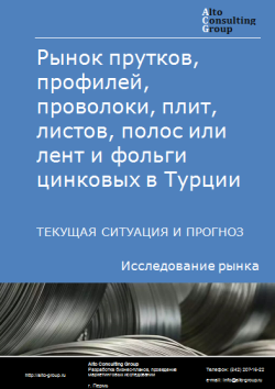 Анализ рынка прутков, профилей, проволоки, плит, листов, полос или лент и фольги цинковых в Турции. Текущая ситуация и прогноз 2024-2028 гг.