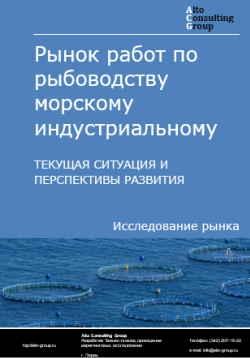 Обложка исследования: Анализ рынка работ по рыбоводству морскому индустриальному в России. Текущая ситуация и перспективы развития