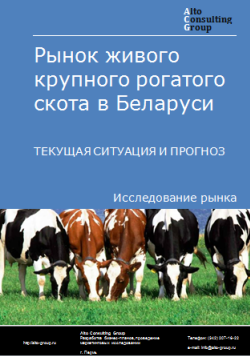 Анализ рынка живого крупного рогатого скота в Беларуси. Текущая ситуация и прогноз 2024-2028 гг.