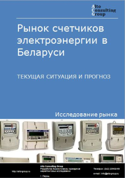 Анализ рынка счетчиков электроэнергии в Беларуси. Текущая ситуация и прогноз 2024-2028 гг.