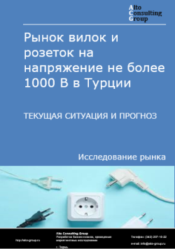 Рынок вилок и розеток на напряжение не более 1000 В в Турции. Текущая ситуация и прогноз 2024-2028 гг.