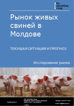 Анализ рынка живых свиней в Молдове. Текущая ситуация и прогноз 2024-2028 гг.