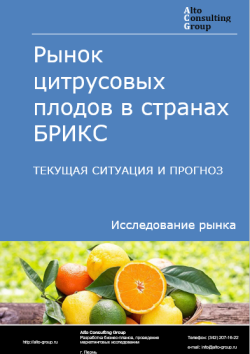 Рынок цитрусовых плодов в странах БРИКС. Текущая ситуация и прогноз 2024-2028 гг.