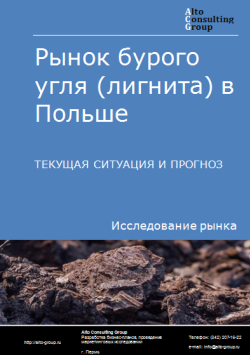 Анализ рынка бурого угля (лигнита) в Польше. Текущая ситуация и прогноз 2024-2028 гг.