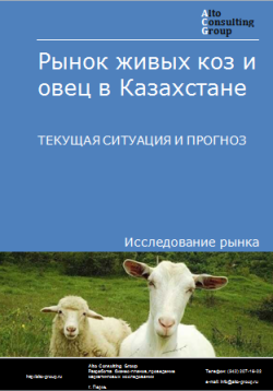 Рынок живых коз и овец в Казахстане. Текущая ситуация и прогноз 2023-2027 гг.