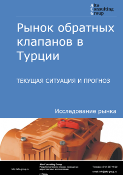 Рынок обратных клапанов в Турции. Текущая ситуация и прогноз 2024-2028 гг.