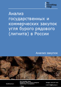 Анализ государственных и коммерческих закупок угля бурого рядового (лигнита) в России в 2023 г.