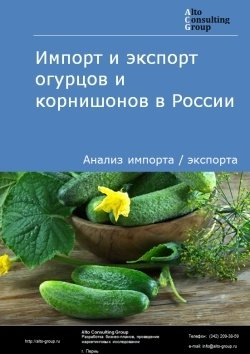 Анализ импорта и экспорта огурцов и корнишонов в России в 2020-2024 гг.