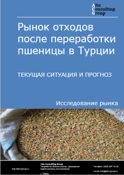 Обложка отчета: Анализ рынка отходов после переработки пшеницы в Турции. Текущая ситуация и прогноз 2025-2029 гг.