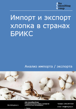 Импорт и экспорт хлопка в странах БРИКС в 2020-2024 гг.