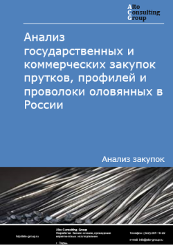 Обложка отчета: Анализ закупок прутков, профилей и проволоки оловянных в России в 2025 г.