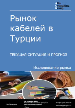 Обложка исследования: Анализ рынка кабелей в Турции. Текущая ситуация и прогноз 2024-2028 гг.