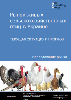 Анализ рынка живых сельскохозяйственных птиц в Украине. Текущая ситуация и прогноз 2024-2028 гг.