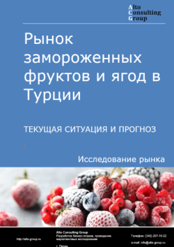 Обложка отчета: Анализ рынка замороженных фруктов и ягод в Турции. Текущая ситуация и прогноз 2025-2029 гг.