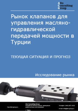 Обложка исследования: Анализ рынка клапанов для управления масляно-гидравлической передачей мощности в Турции. Текущая ситуация и прогноз 2024-2028 гг.