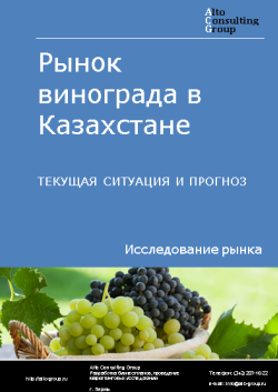 Рынок винограда в Казахстане. Текущая ситуация и прогноз 2023-2027 гг.