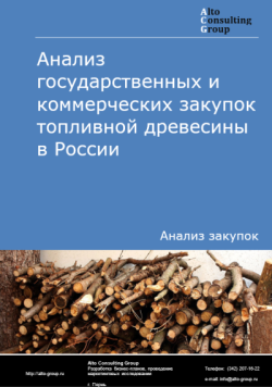 Анализ государственных и коммерческих закупок топливной древесины в России в 2024 г.