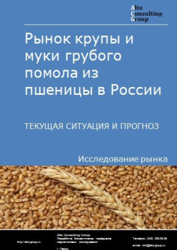 Рынок крупы и муки грубого помола из пшеницы в России. Текущая ситуация и прогноз 2024-2028 гг.