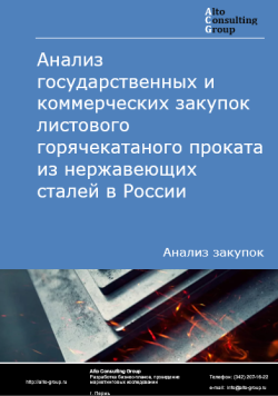 Обложка исследования: Анализ закупок листового горячекатаного проката из нержавеющих сталей в России в 2023 г.