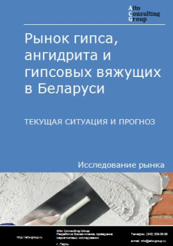 Обложка Анализ рынка гипса, ангидрита и гипсовых вяжущих в Беларуси. Текущая ситуация и прогноз 2024-2028 гг.