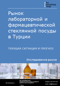 Рынок лабораторной и фармацевтической стеклянной посуды в Турции. Текущая ситуация и прогноз 2024-2028 гг.