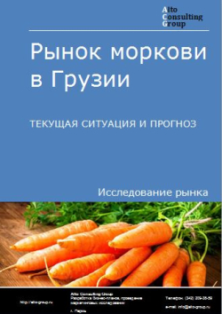 Обложка исследования: Анализ рынка моркови в Грузии. Текущая ситуация и прогноз 2024-2028 гг.