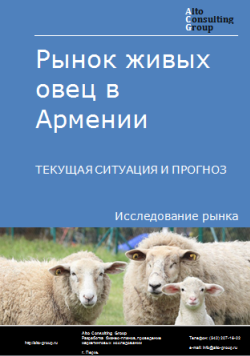 Рынок живых овец  в Армении. Текущая ситуация и прогноз 2024-2028 гг.