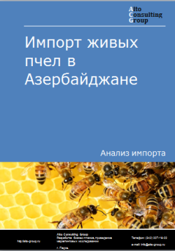 Анализ импорта живых пчел в Азербайджане в 2019-2023 гг.