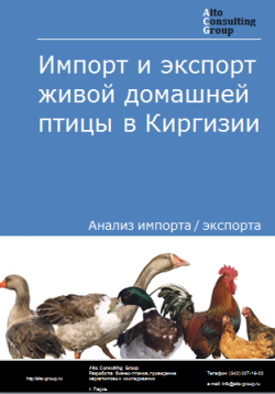 Анализ импорта и экспорта живой домашней птицы в Киргизии в 2019-2023 гг.