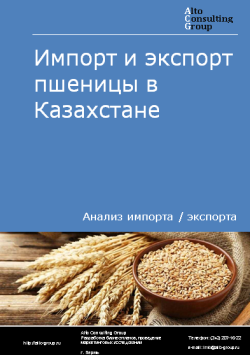 Импорт и экспорт пшеницы в Казахстане в 2019-2023 гг.