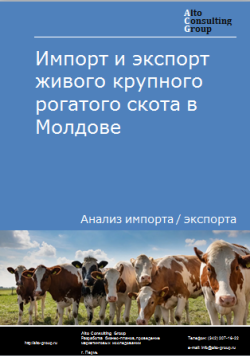 Анализ импорта и экспорта живого крупного рогатого скота в Молдове в 2019-2023 гг.