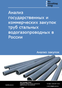 Обложка отчета: Анализ закупок труб стальных водогазопроводных в России в 2025 г.