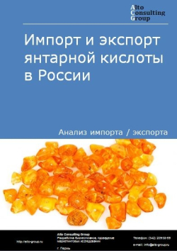 Импорт и экспорт янтарной кислоты в России в 2020-2024 гг.