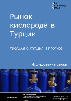 Анализ рынка кислорода в Турции. Текущая ситуация и прогноз 2024-2028 гг.