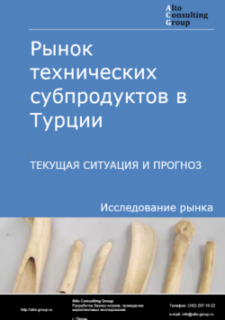 Обложка отчета: Анализ рынка технических субпродуктов в Турции. Текущая ситуация и прогноз 2025-2029 гг.