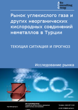 Обложка отчета: Анализ рынка углекислого газа и других неорганических кислородных соединений неметаллов в Турции. Текущая ситуация и прогноз 2025-2029 гг.