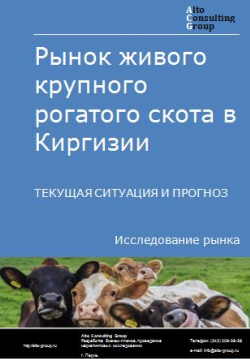 Анализ рынка живого крупного рогатого скота в Киргизии. Текущая ситуация и прогноз 2024-2028 гг.