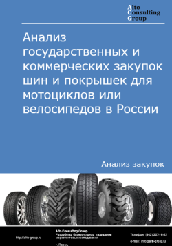 Анализ государственных и коммерческих закупок шин и покрышек для мотоциклов или велосипедов в России в 2024 г.