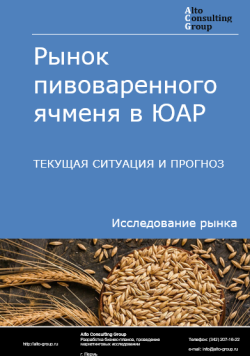 Обложка исследования: Анализ рынка пивоваренного ячменя в ЮАР. Текущая ситуация и прогноз 2024-2028 гг.