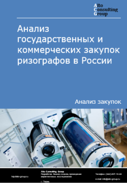 Анализ государственных и коммерческих закупок ризографов в России в 2024 г.