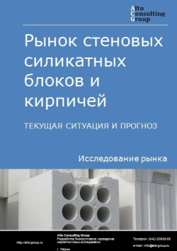 Обложка исследования: Анализ рынка стеновых силикатных блоков и кирпичей в РФ. Текущая ситуация и прогноз 2024-2028 гг.