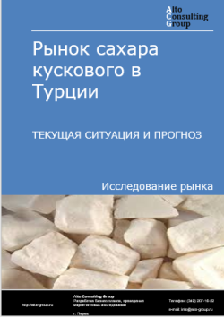 Обложка отчета: Анализ рынка сахара кускового в Турции. Текущая ситуация и прогноз 2025-2029 гг.